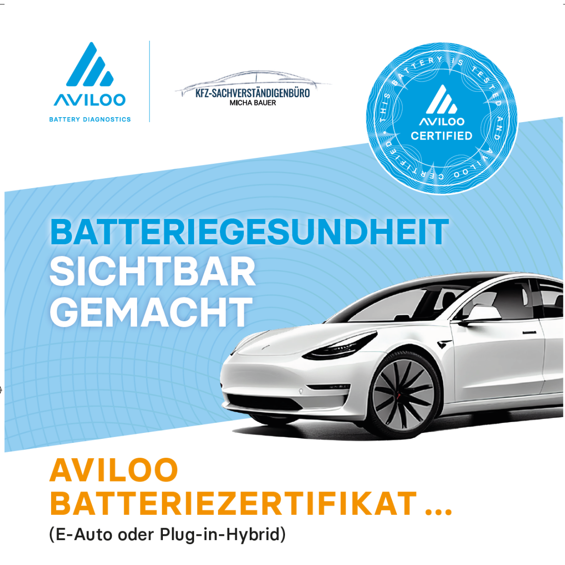 AVILOO Battery Diagnostics – AVILOO Certified Partner